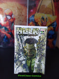 Hulk #1 Marco Turini Variant