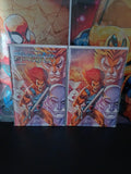 THUNDERCATS #1  Dynamite Comics 2024 ROB Liefeld Trade & Virgin Variant Set
