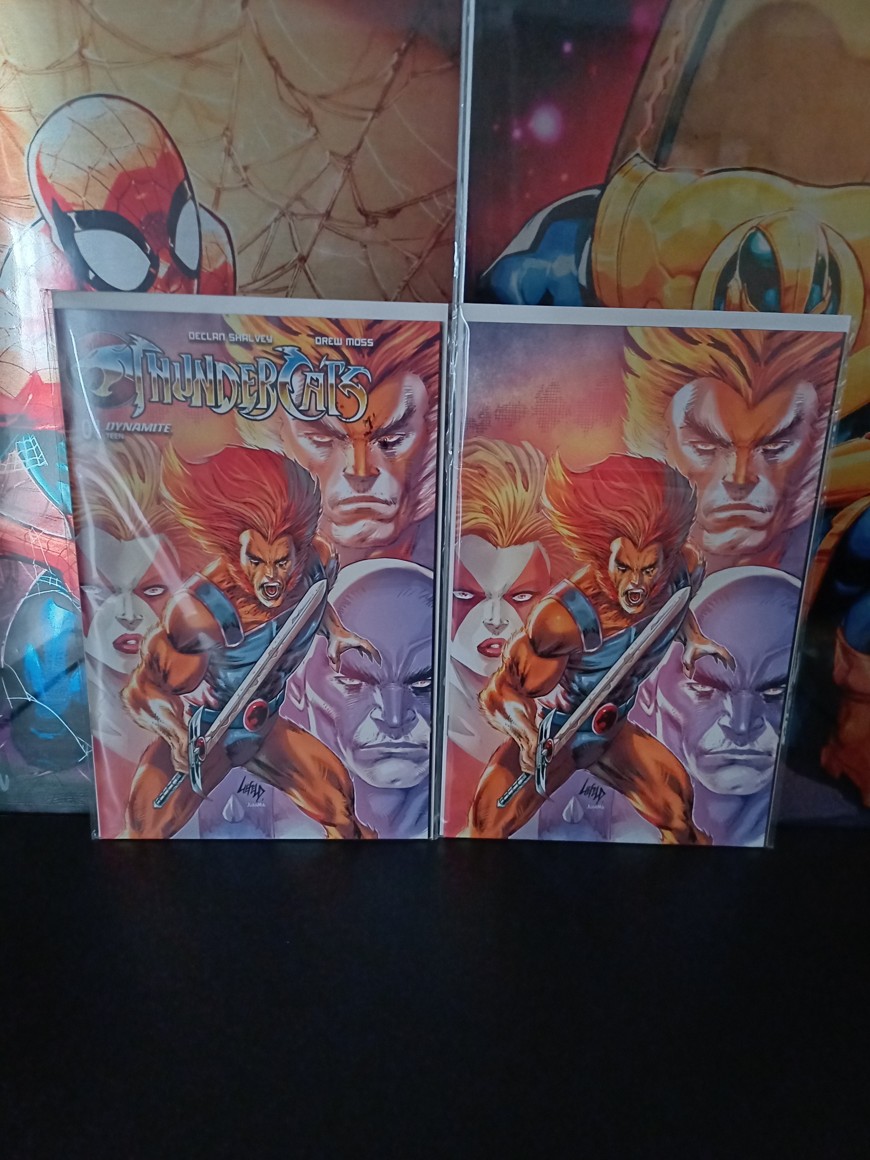 THUNDERCATS #1  Dynamite Comics 2024 ROB Liefeld Trade & Virgin Variant Set