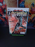 BRUCE WAYNE: THE ROAD HOME: CATWOMAN # 1 DC Comics One-Shot, DEC 2010