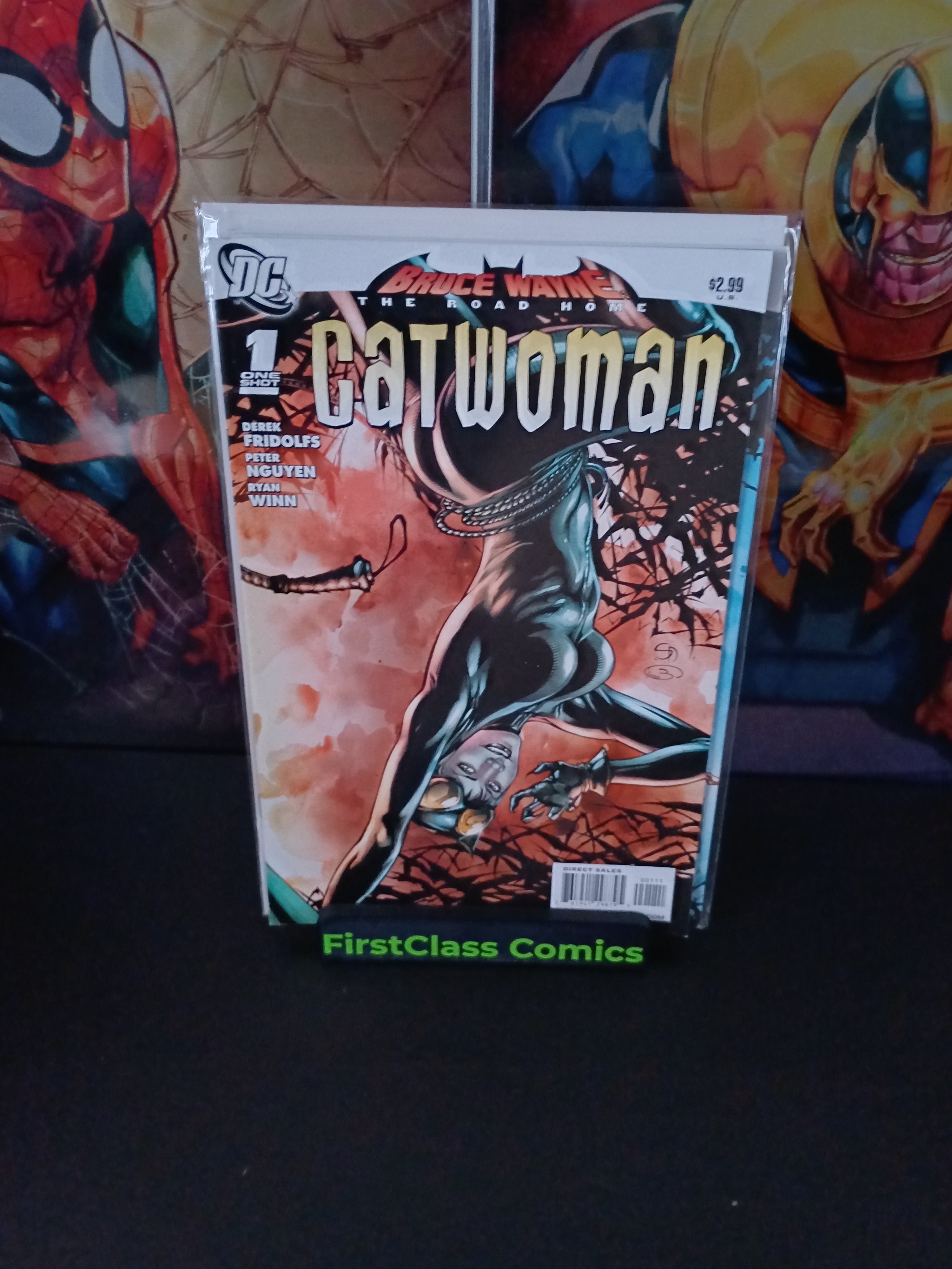 BRUCE WAYNE: THE ROAD HOME: CATWOMAN # 1 DC Comics One-Shot, DEC 2010