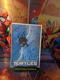 TMNT #1 NYCC DARK KNIGHT HOMAGE TRADE SIGNED DAVID MACK with COA