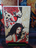 Vampirella Dark Reflections #2 Matthew Waite Wrap Around Virgin Variant